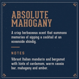 Sampon pentru par 3 in 1 (sampon,balsam,gel de dus) - MAN MADE - Absolute Mahogany - 100 ml