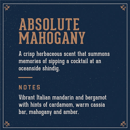 Sampon pentru par 3 in 1 (sampon,balsam,gel de dus) - MAN MADE - Absolute Mahogany - 100 ml