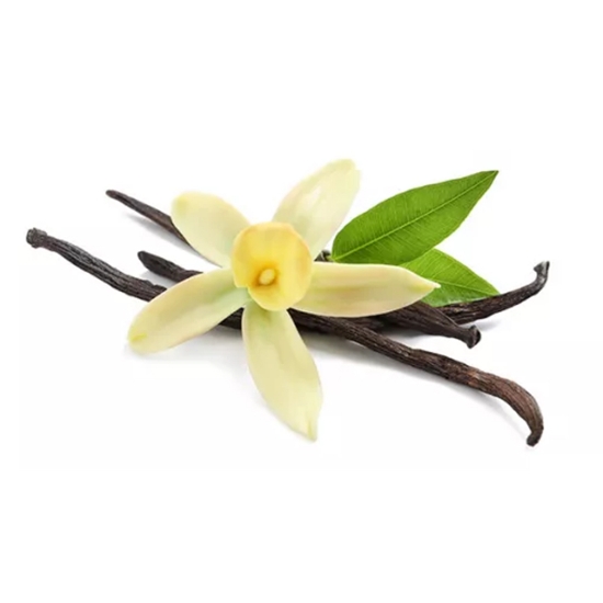 Sapun Lichid - KABINETT - 500 ml - Nuca de cocos si vanilie