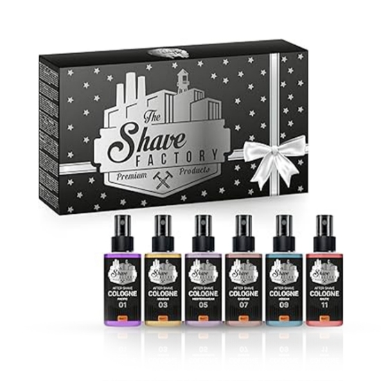 Imagine Set Cadou Premium  - SHAVE FACTORY - 6x After Shave 50 ml - silver