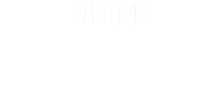Imagine pentru categorie Winter Sales